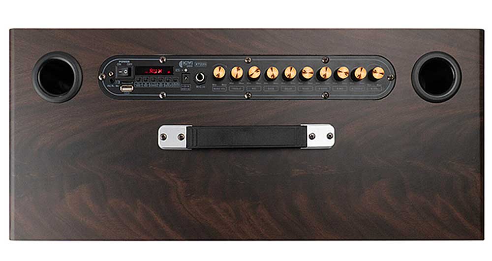 Loa xách tay KIWI XT220, 2 bass 20