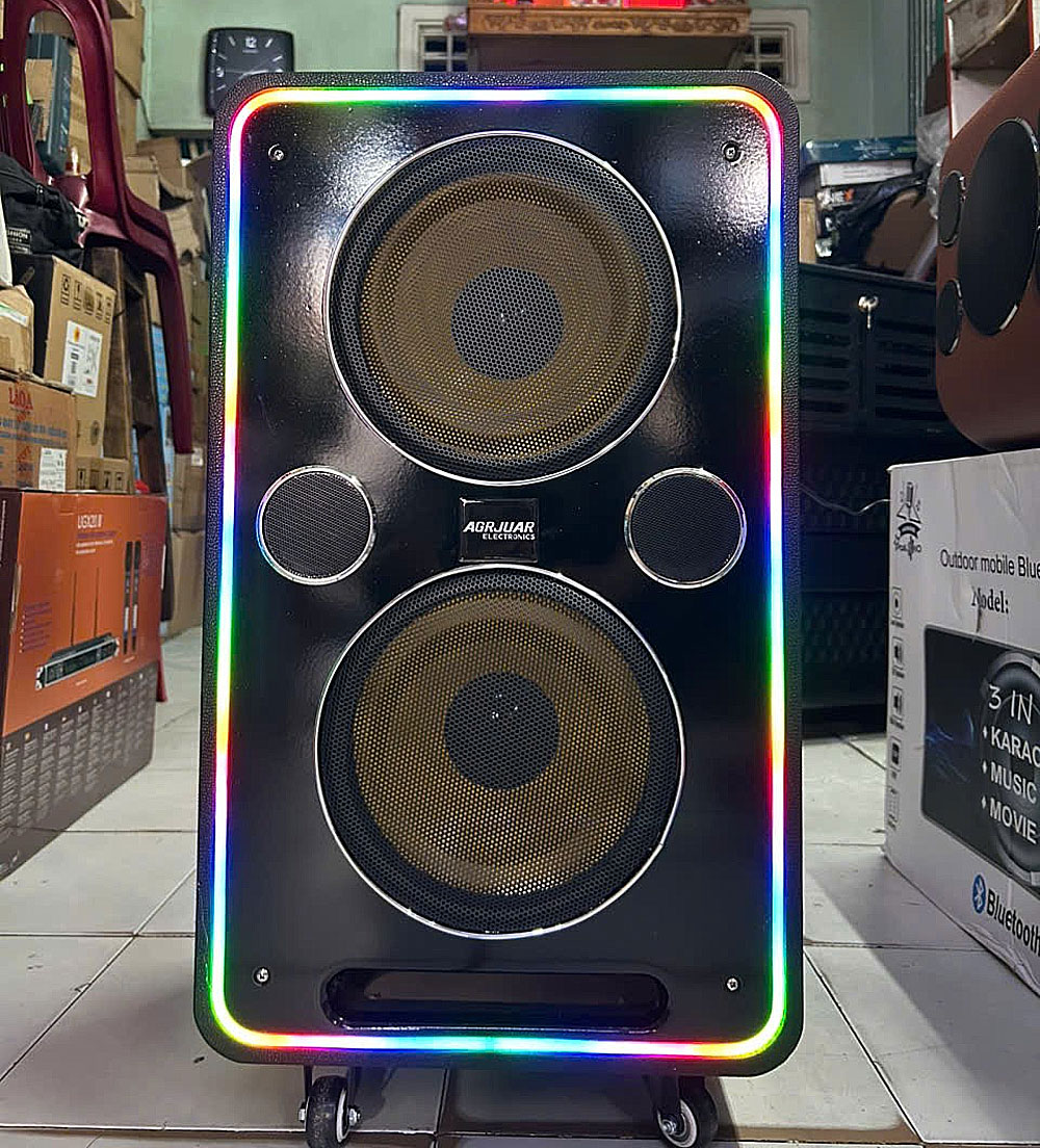 Loa xách tay KP8-2625, 2 bass 25