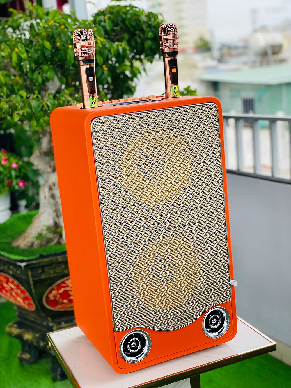 Loa xách tay L2 Pro, 2 bass 25