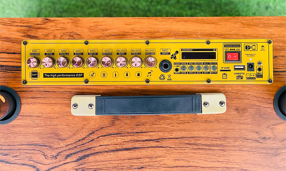 Loa xách tay P288, 2 bass 20
