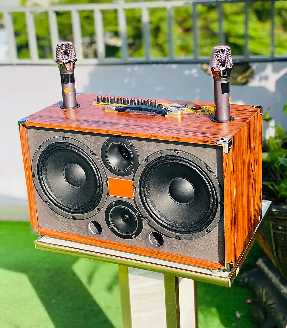 Loa xách tay P288, 2 bass 20