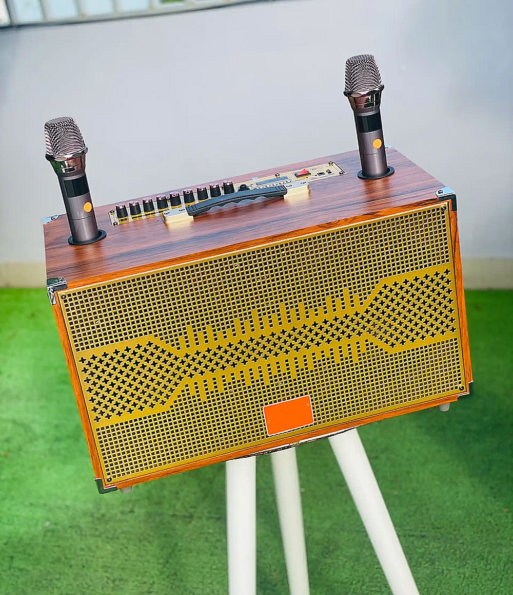 Loa xách tay P288, 2 bass 20