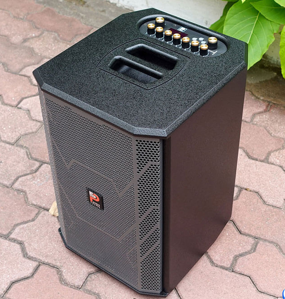 Loa xách tay Prosing PS-909, karaoke 2 đường tiếng