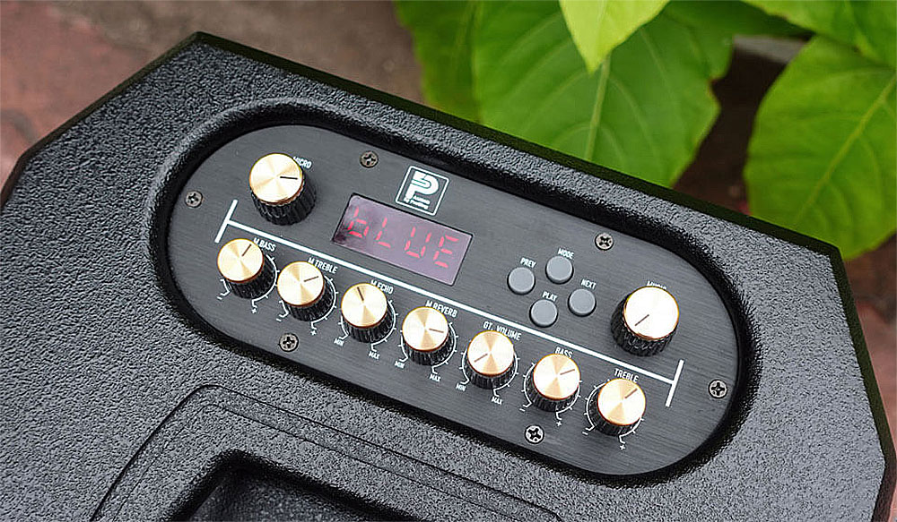 Loa xách tay Prosing PS-909, karaoke 2 đường tiếng