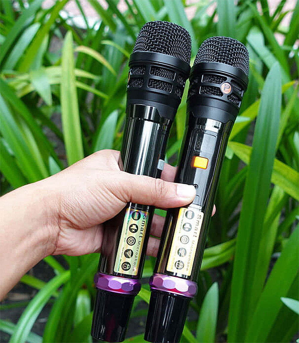 Loa xách tay Prosing PS-909, karaoke 2 đường tiếng