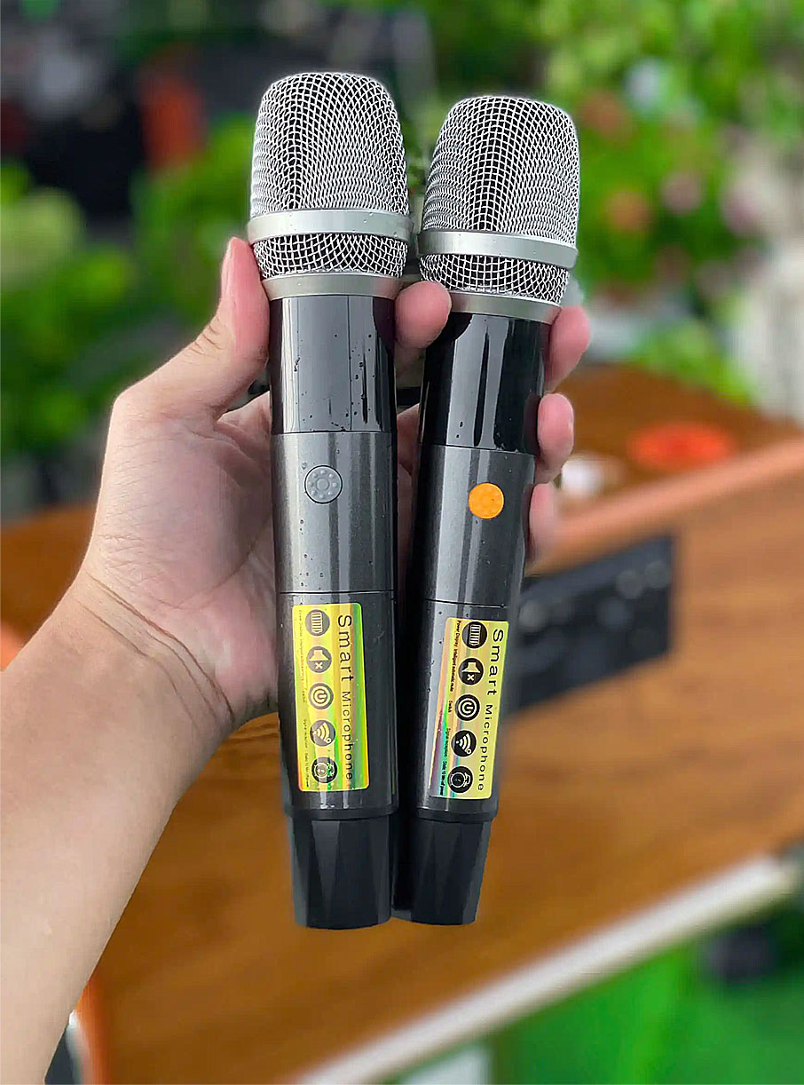 Loa xách tay S99 Pro, 2 bass 25