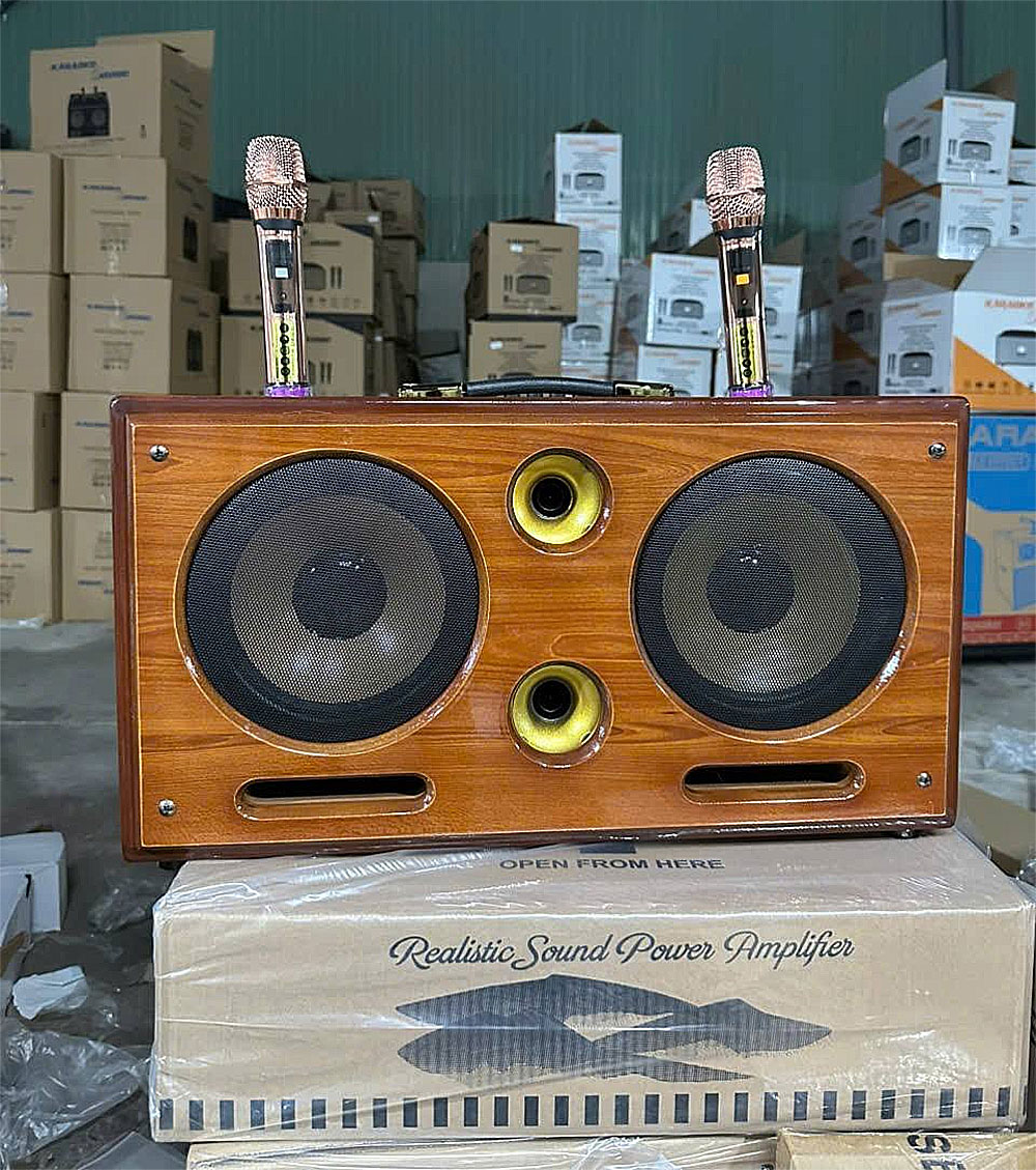 Loa xách tay Soundbox 8018G, 2 bass 20
