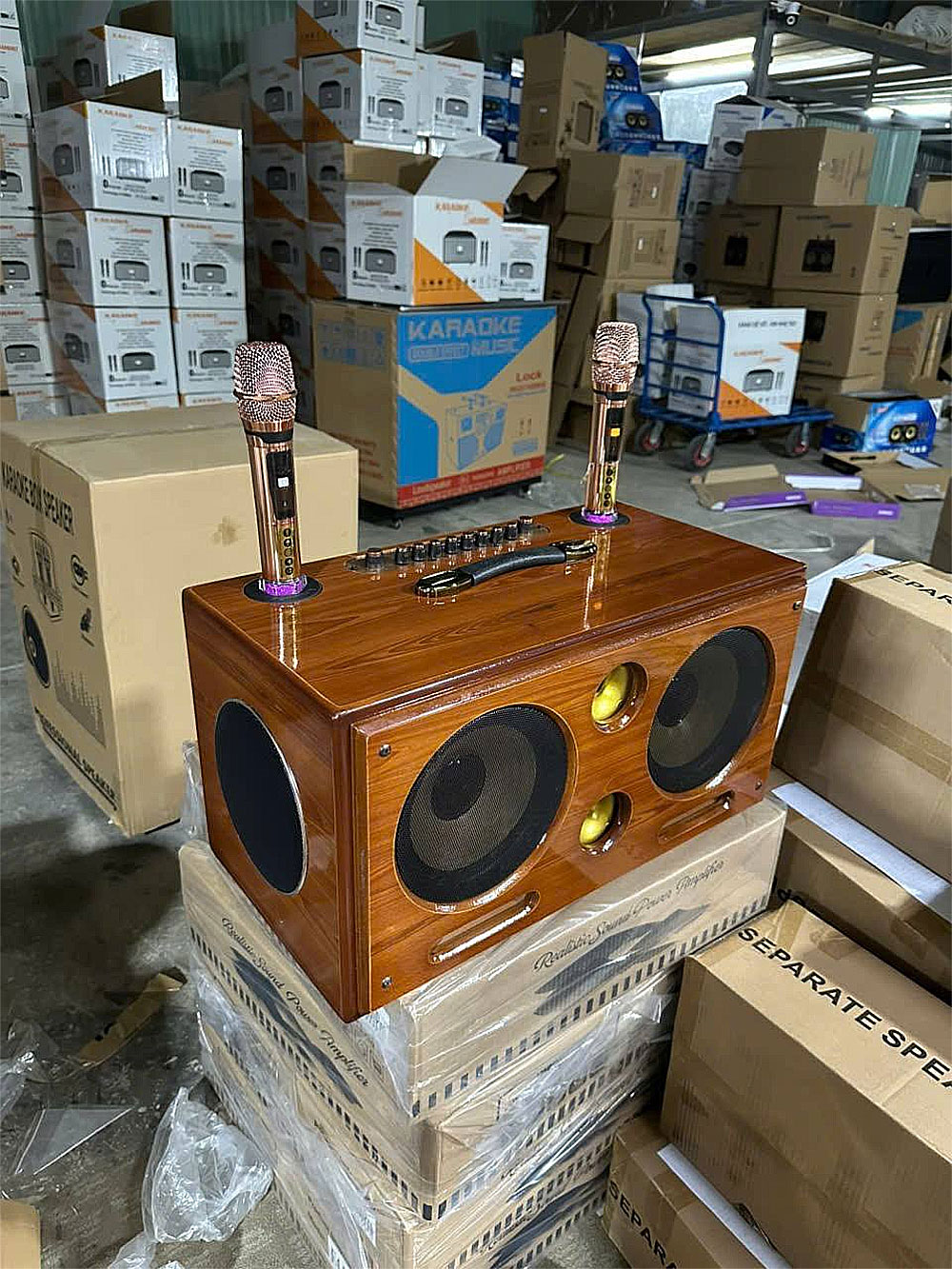 Loa xách tay Soundbox 8018G, 2 bass 20