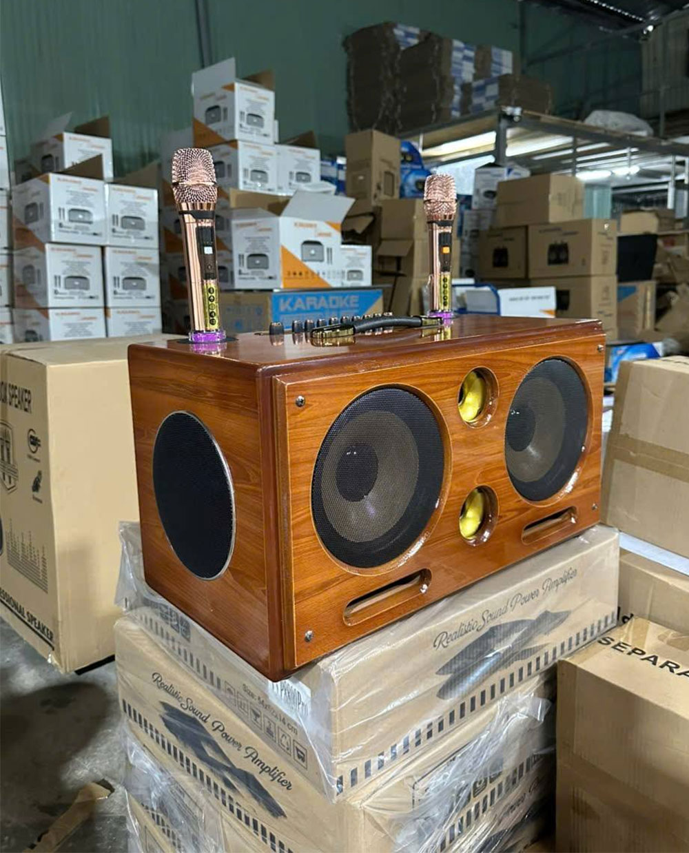 Loa xách tay Soundbox 8018G, 2 bass 20