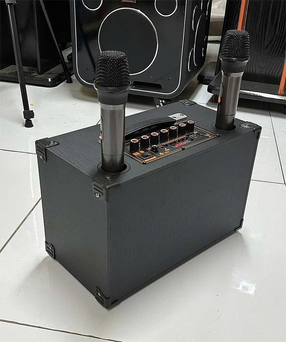 Loa xách tay Soundbox A8, 2 mic không dây