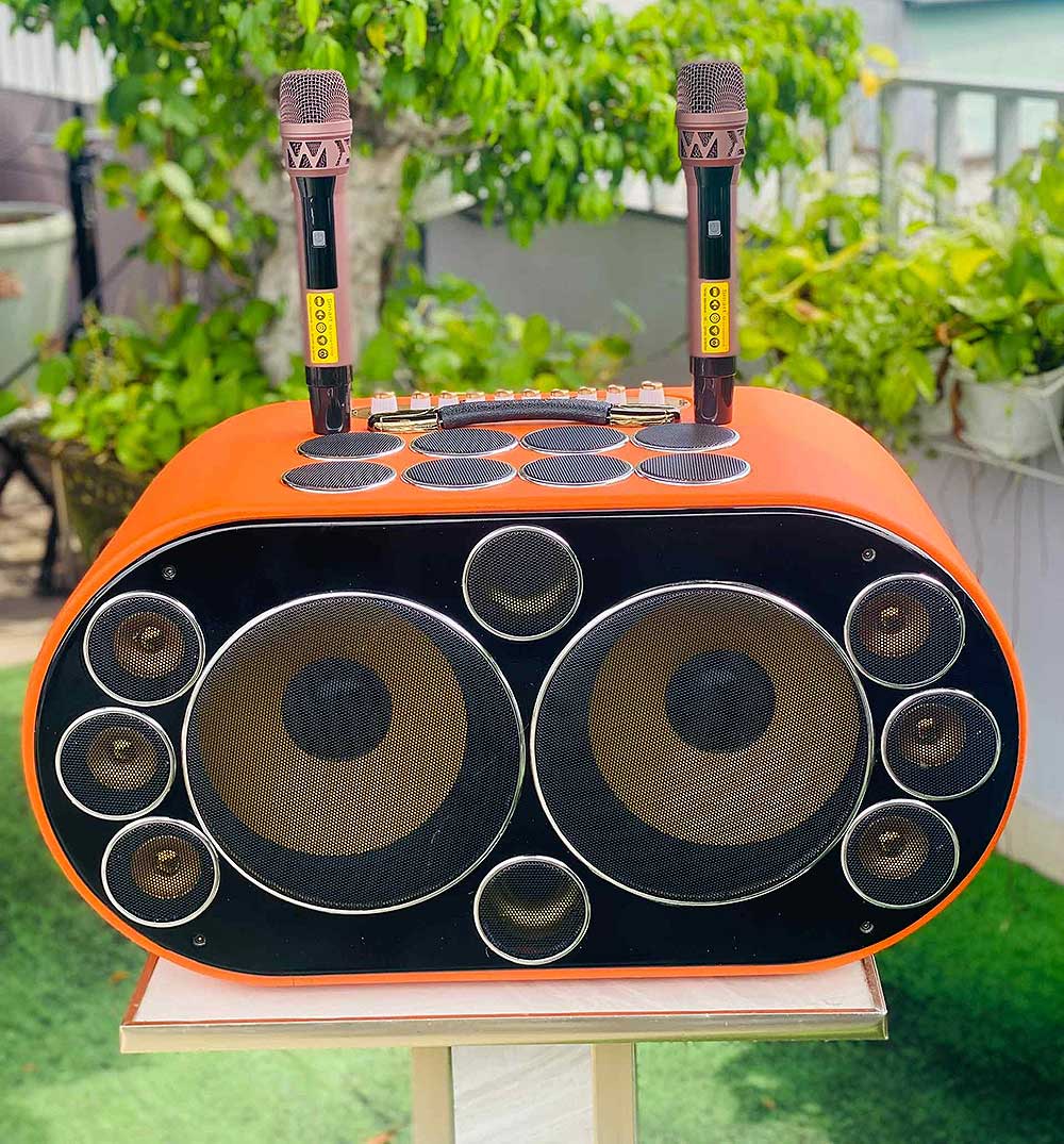 Loa xách tay T19Pro, 18 củ loa