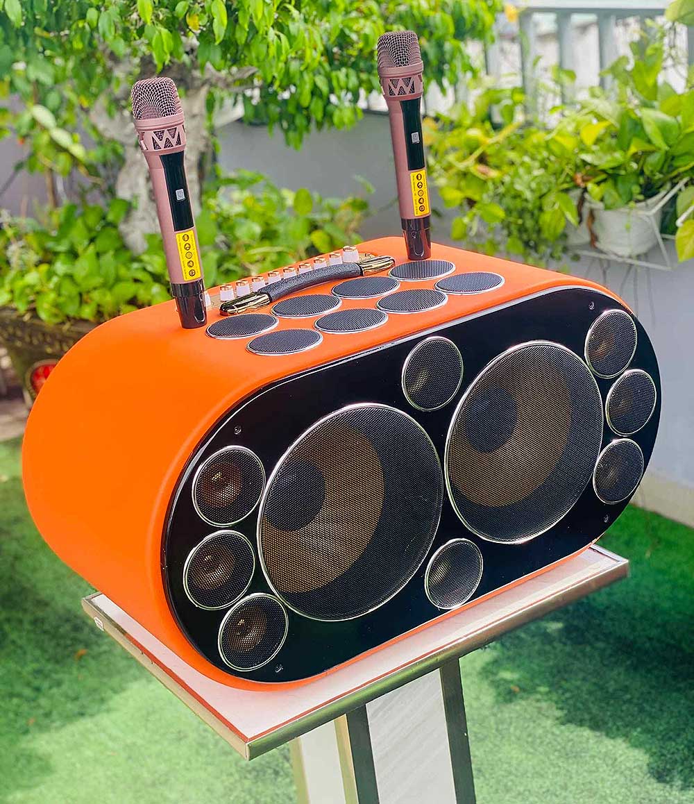 Loa xách tay T19Pro, 18 củ loa