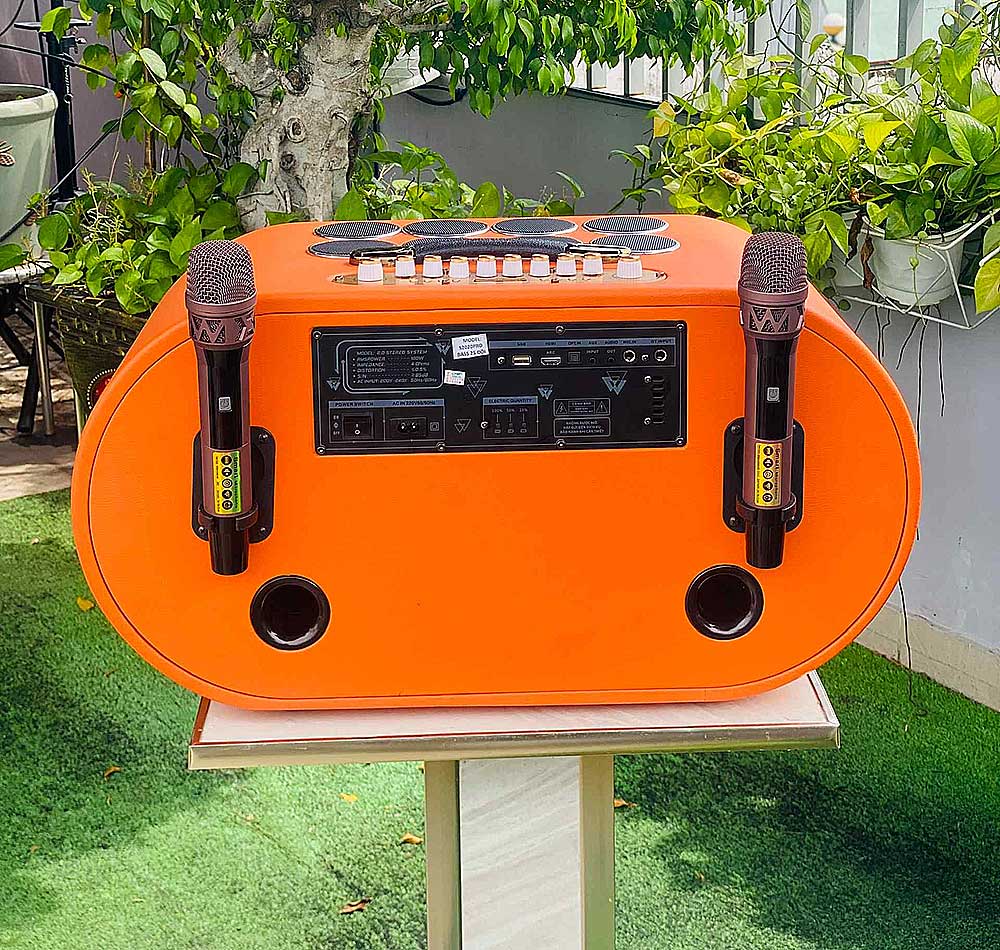 Loa xách tay T19Pro, 18 củ loa