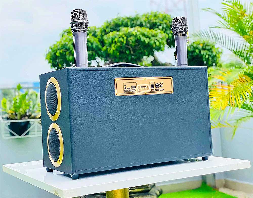 Loa xách tay VB Box VB-888, 2 bass 16