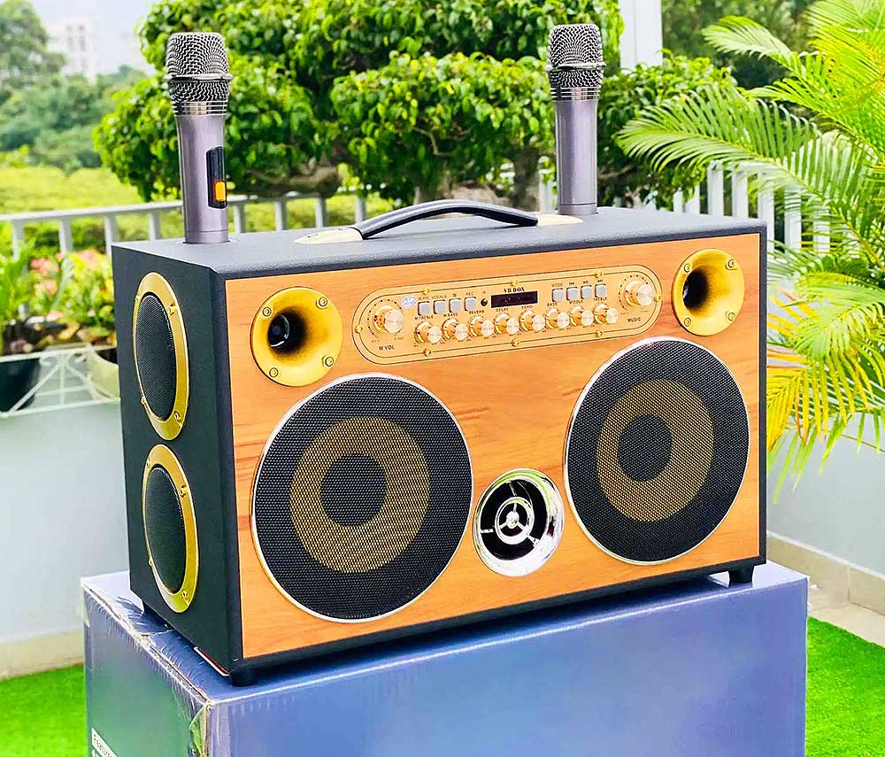 Loa xách tay VB Box VB-888, 2 bass 16