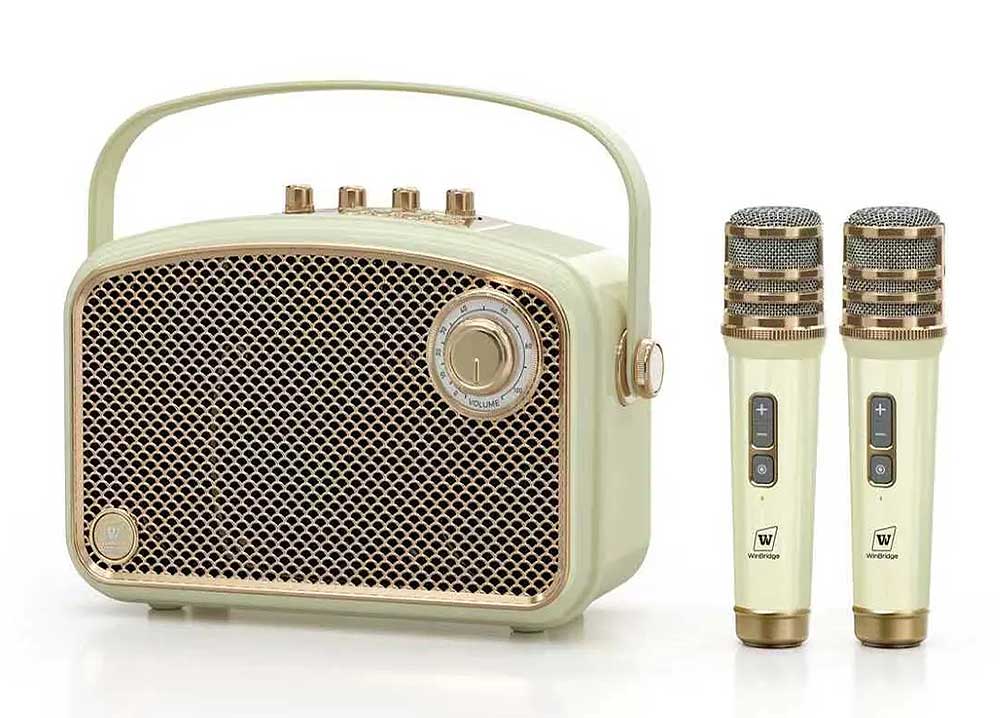 Loa xách tay WinBridge L200, 2 mic UHF