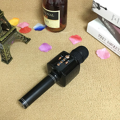 Microphone karaoke kèm loa H2