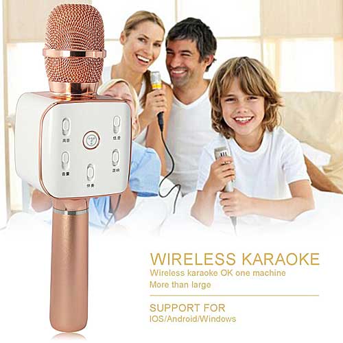 Microphone Karaoke Kèm Loa TOSING 2