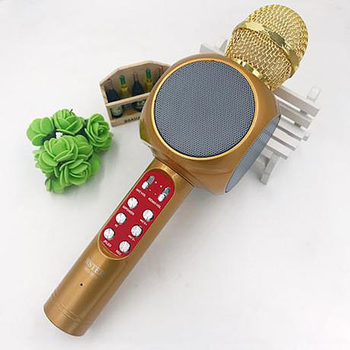 Microphone karaoke kèm loa WS-1816