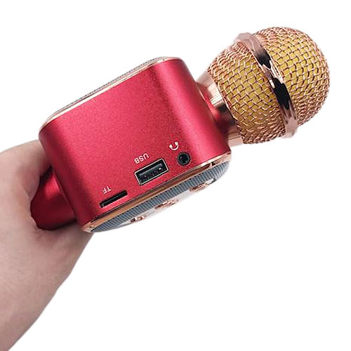Microphone karaoke kèm loa WS-1818