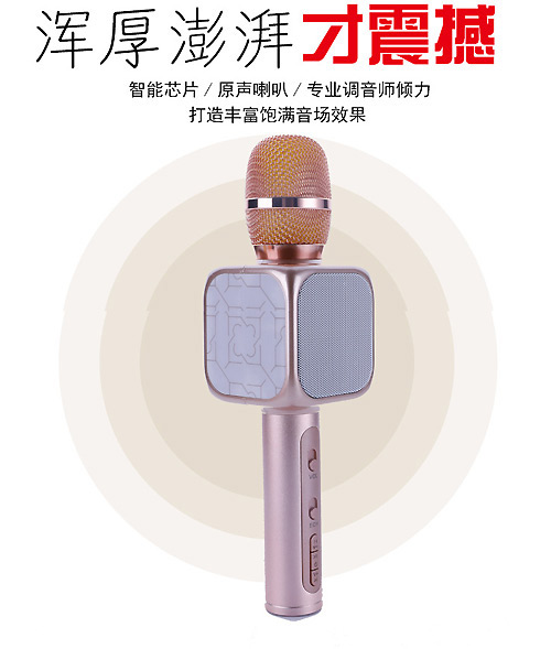 Microphone karaoke kèm loa YS-81