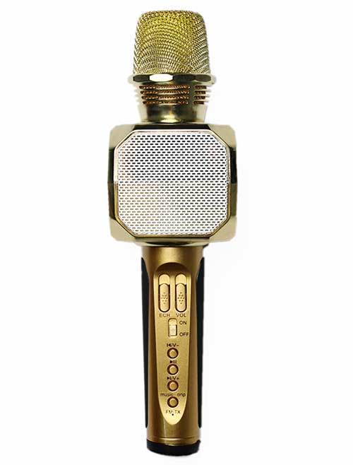 Microphone kèm loa SD-10